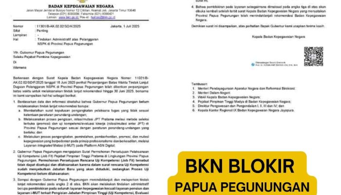 BKN Blokir Layanan Kepegawaian Papua Pegunungan