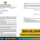 BKN Blokir Layanan Kepegawaian Papua Pegunungan